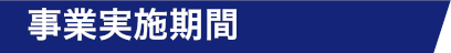 事業実施期間
