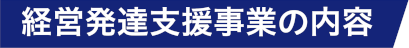 経営発達支援事業の内容