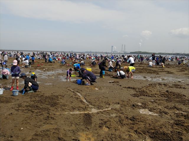原市支部『潮干狩り』2019年-1